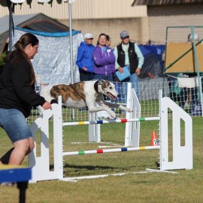 islandmk's profile picture. 