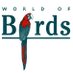 World of Birds (@worldofbirds_nj) Twitter profile photo
