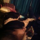 Emma Coggin - @coggin_emma - Twitter