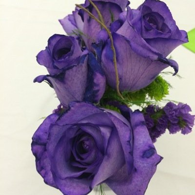 kpsjoleader's profile picture. 