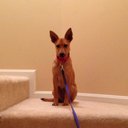 Thomas Breeding - @tmbreeding - Twitter