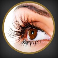 iLashstore (@ilashstore) 's Twitter Profile