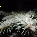 Nathan Corcoran - @NathanCorcoran3 - Twitter