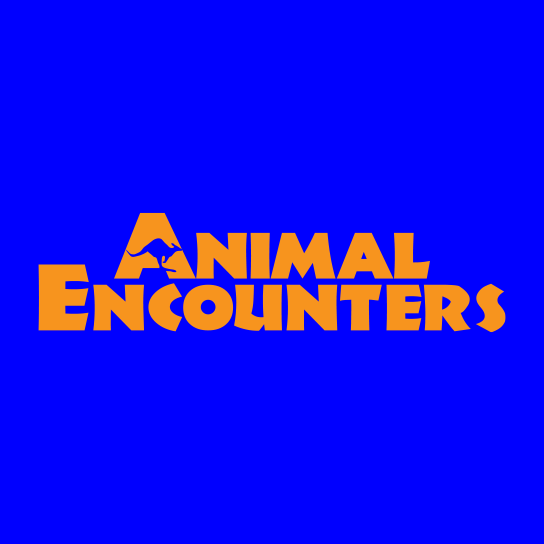 Animal Encounters Profile