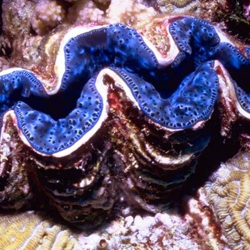 Jim278934689's profile picture. 