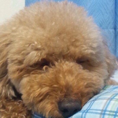 千葉工大 生環/風神10代目主将