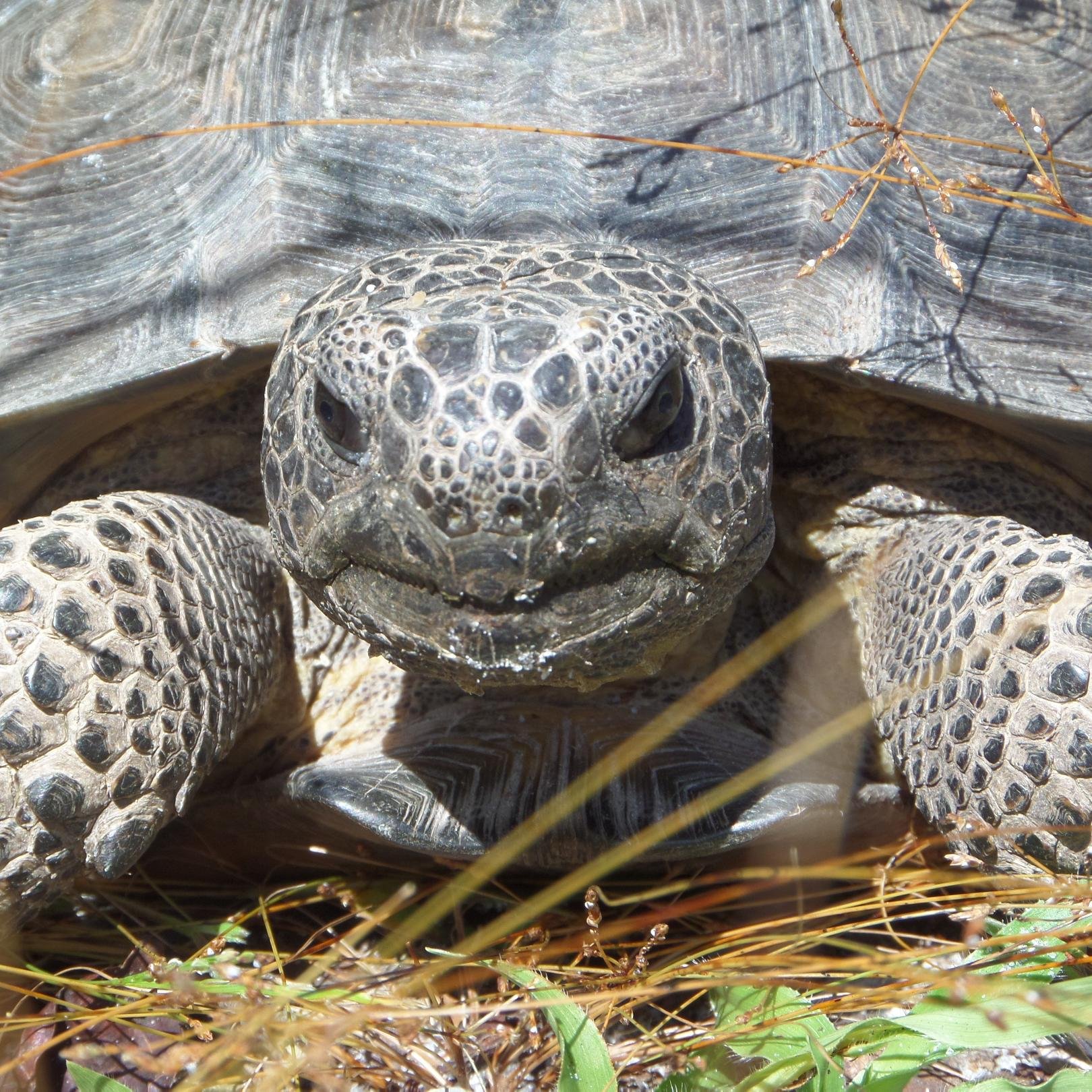 MartinCountyLiv's profile picture. We LOVE Martin County.  Follow us to learn about what's new, what's going on and places and things you might be missing.