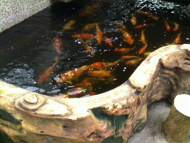 Senyum ☺