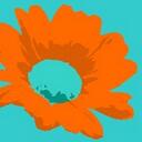 The Daisy Way - @TheDaisyWay - Twitter