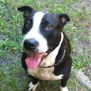 Austin Sparrow - @sparrow_flys10 - Twitter