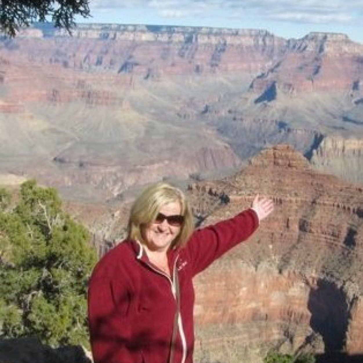 ColbertTish's profile picture. 