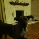 Robert Serna - @Rserna619Serna - Twitter