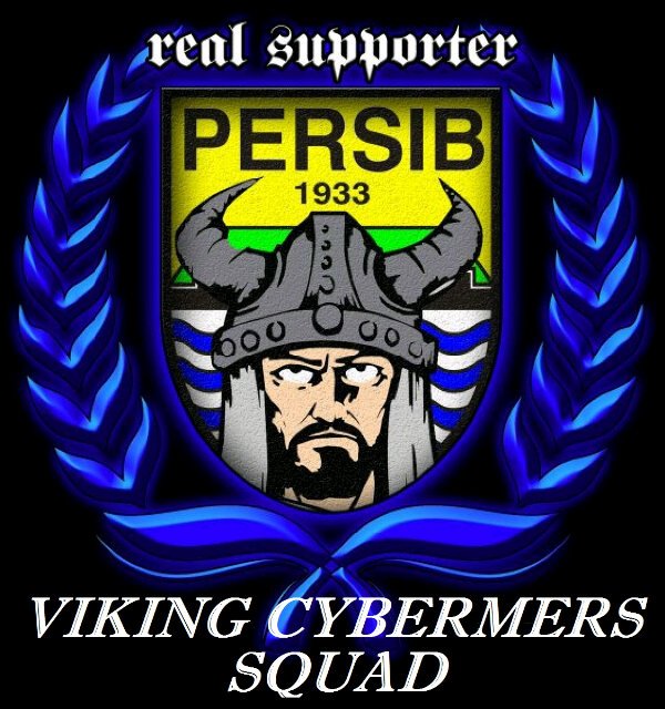 #Viking Cybermers Squad33★