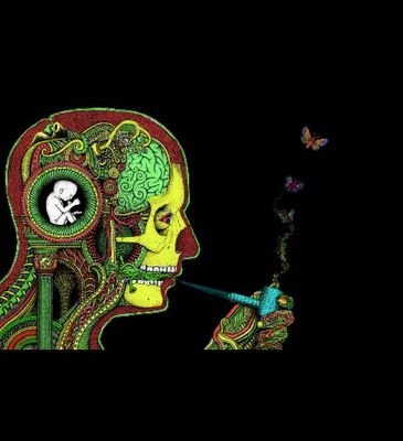 Let's smoke weed fam