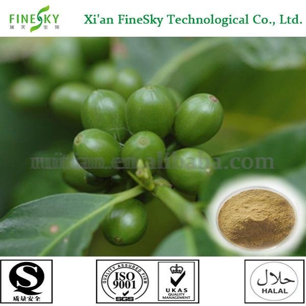 cncericwang's profile picture. 