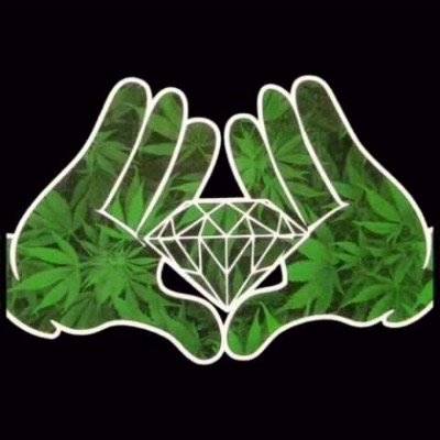 wade4323's profile picture. 