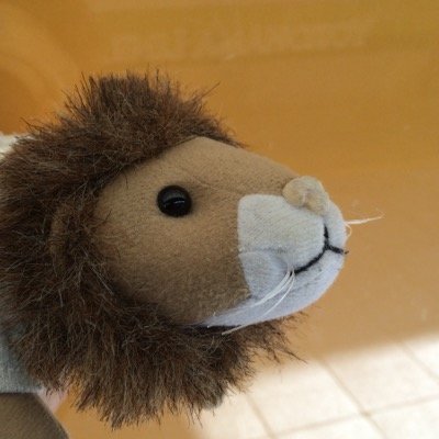 leolibrary's profile picture. NYPLの玄関のライオン🦁