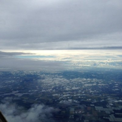 Falcon Aircraft Maintenance Managent. Maintenance project oversight. Pilot services. Prebuy consultant.