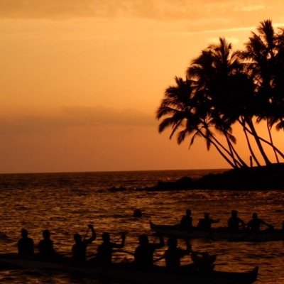 aharristweet's profile picture. 