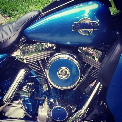 bigbowtie23's profile picture. 