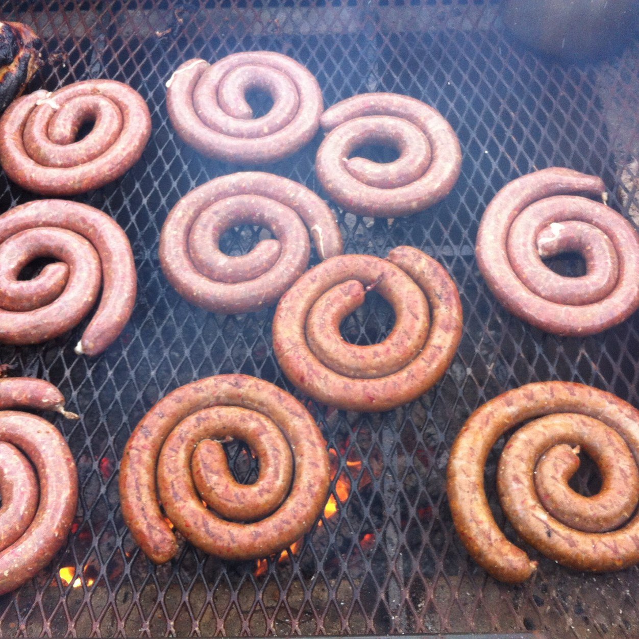 JibShack's profile picture. 