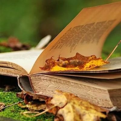 M.A. English literature and linguistics
M.A. ELT.