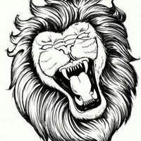Angry Lions (@angrylionspdx) 's Twitter Profile