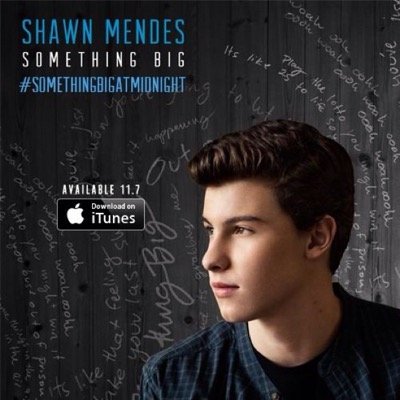please follow @mendespolaroid! she can help you with follows from 40+ webstars and singers ! (9/12 2/5 fifth harmony 3/6 o2l 2/6 janoskians...)