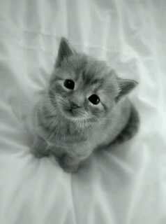 I love me...♥♥