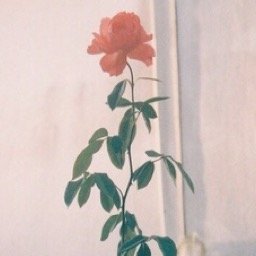 영화, 연극, 소설, 드라마. 이야기가 가진 힘을 사랑하는 20대.
