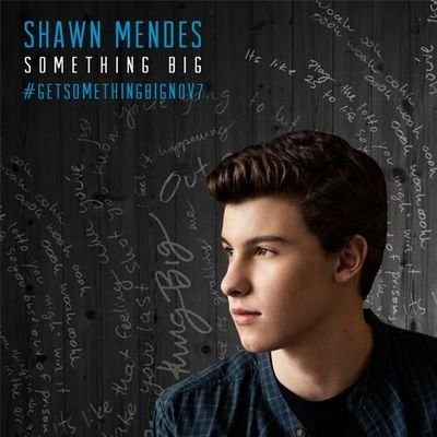 Shawn Mendes