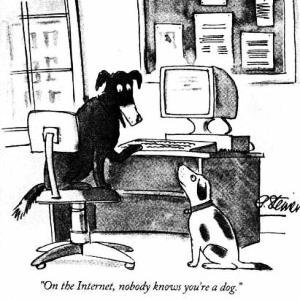 Mastering the art of getting noticed naturally, without screaming and without tricks...VP, Strategy Planning, Marketing Communications, Digital Advertising