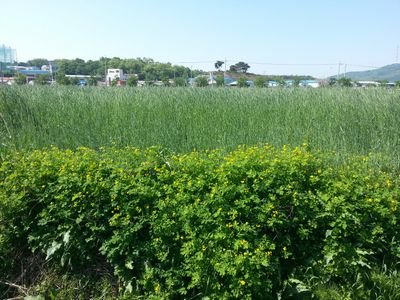 ml003836's profile picture. 나도  이젠  인연만들것임