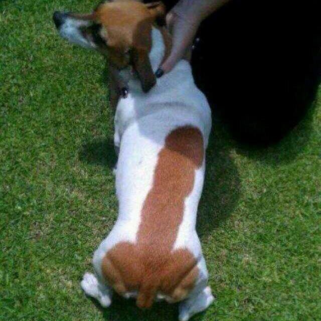 .