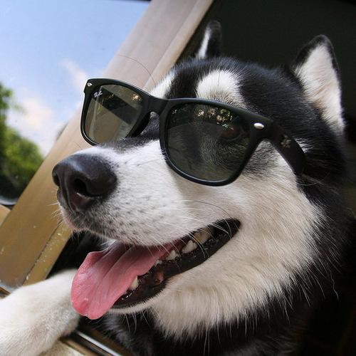 bunchaJPD's profile picture. 