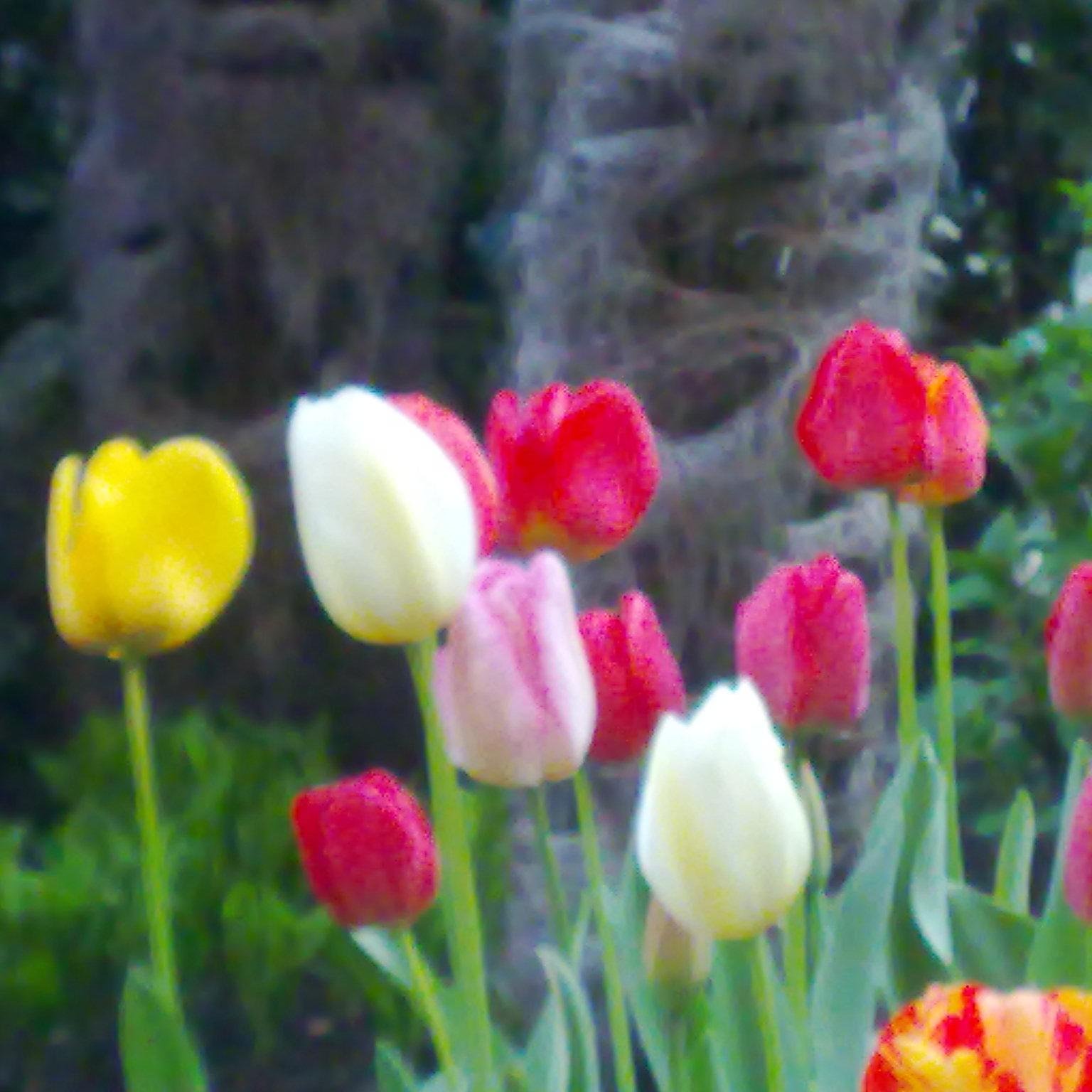 eugeniavirginia's profile picture. empowered patient