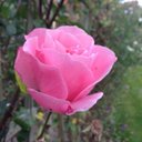 Frances Buckle 💙 - @becksidegirl - Twitter