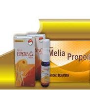 Jual Melia Biyang Dan Melia Propolis|jual Cream HN|Terbaik|Nomor satu|pemesanan ke 089504267660 atau pin 328DC2D9|Trimakasiihh:)