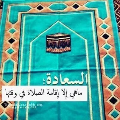 FunscienceM's profile picture. 