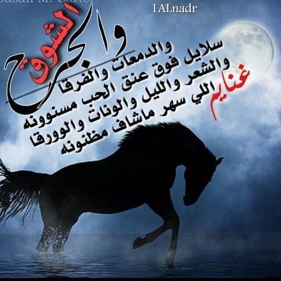 ياناس أحبة والمحبة مقادير هاذا هوى نفسي وهاذا قدرها أغلية من بد المخاليق وأقول يجعل ربي يحفظك لي ويرعاك