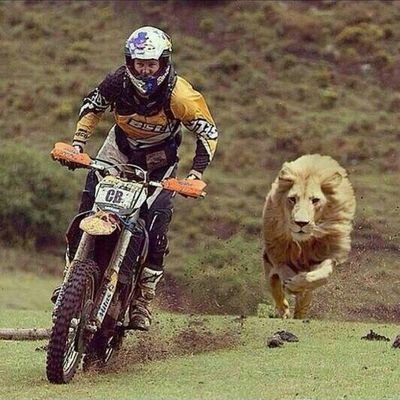 AtrshMoner's profile picture. 