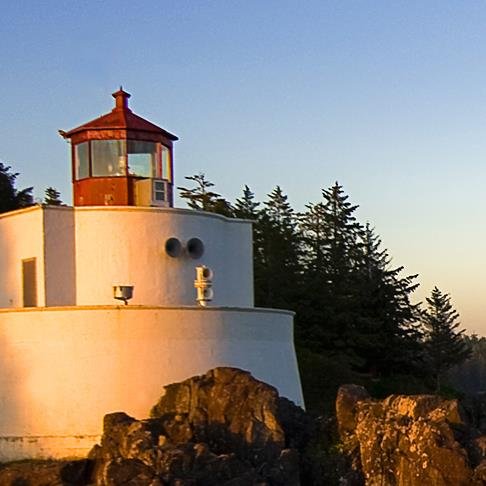 jorgesfreitas's profile picture. Always Free