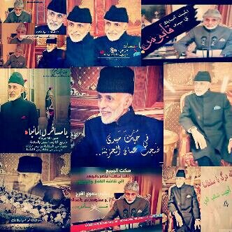 m11mm22mm33's profile picture. .....