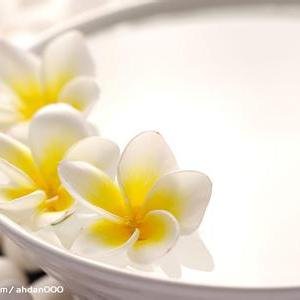 minyumandy's profile picture. 