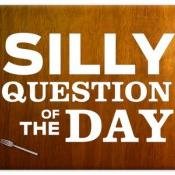 SilleeQuestions's profile picture. 