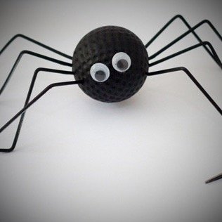 SpydaBallz's profile picture. 