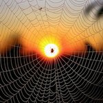 DavidpgJO's profile picture. 