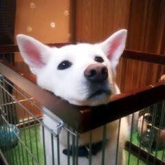 蕗の塔さんのプロフィール画像