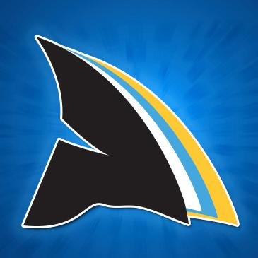 DesignShark builds company images with its perfect logos and websites with specific functionality for our clients.