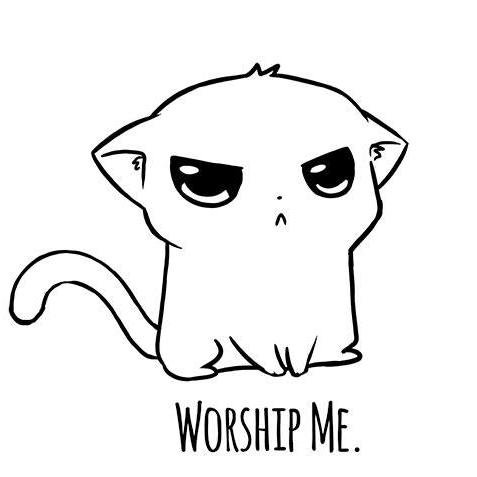 animus_spirit's profile picture. I came. i saw. I conquered. That's a ball.